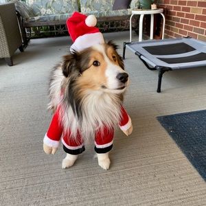 Adorable Santa Pet Costume